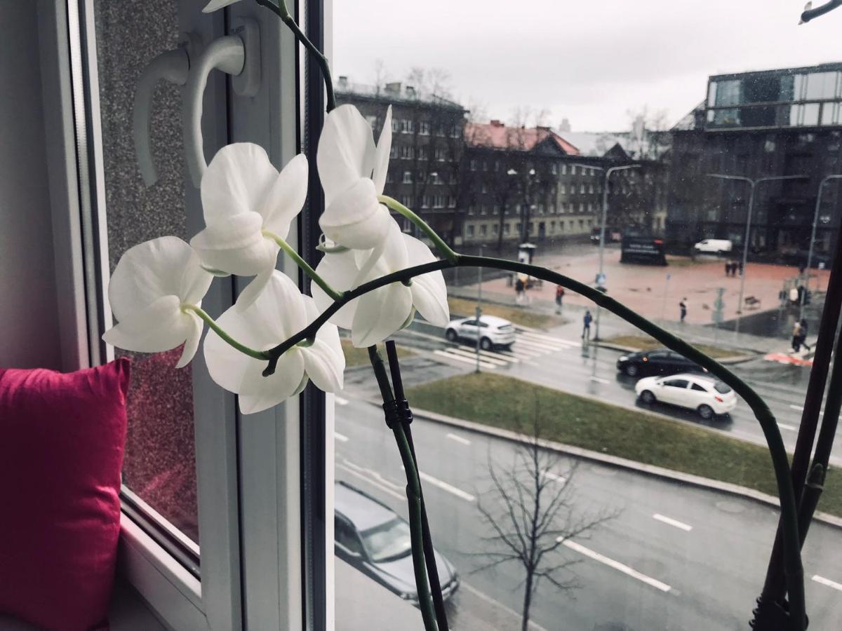 Dzīvoklis Cozy Tallinn